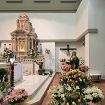 Santa Maria dei Servi esposta presso l'Altare Maggiore